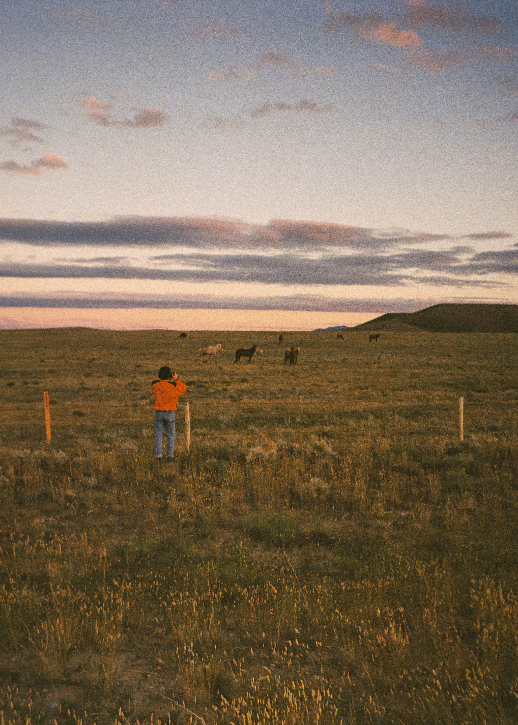 A0007.02 -My Brother & the Horses