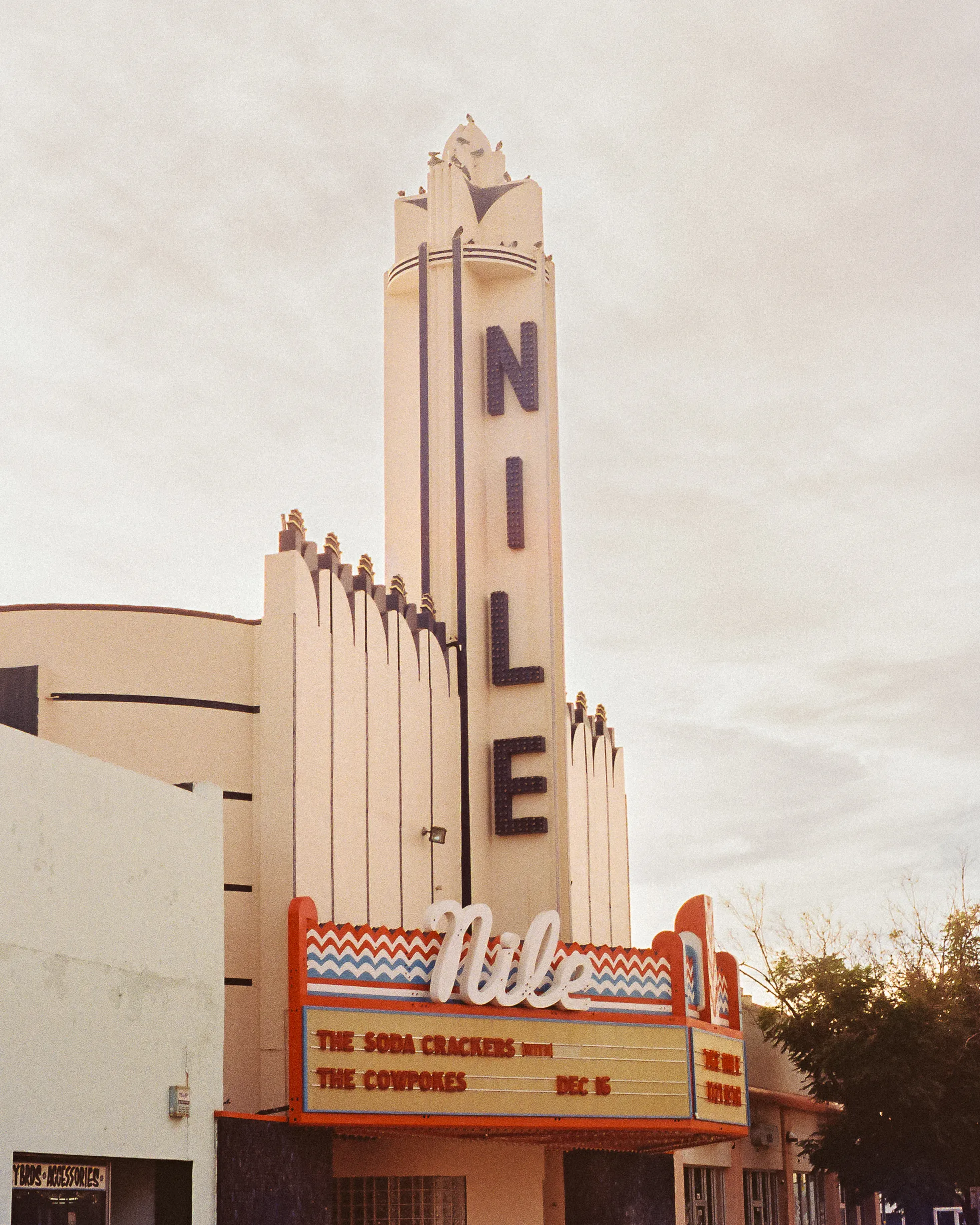 A0008.03 - The Nile