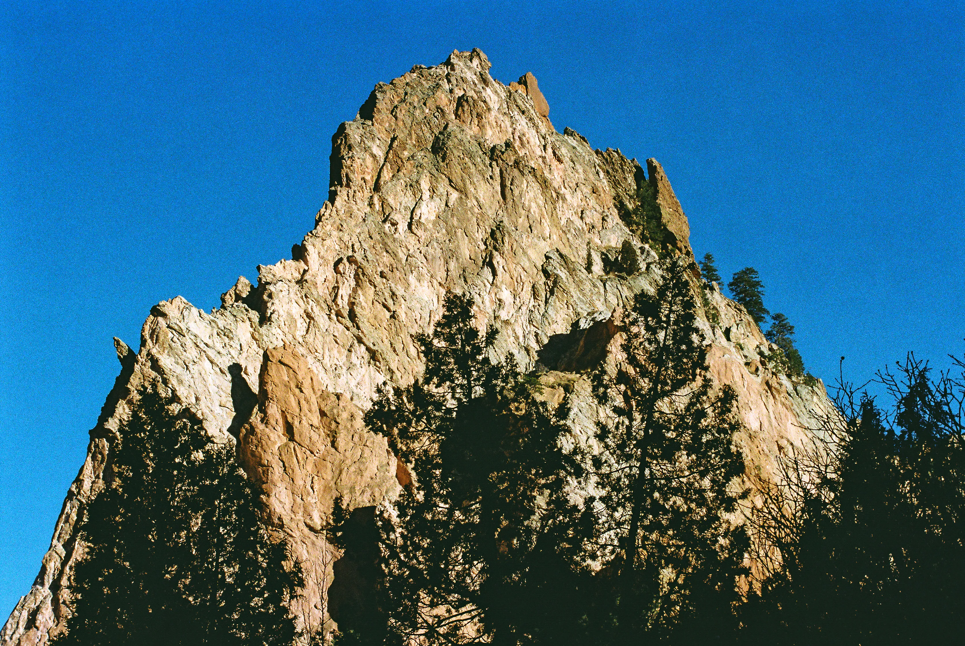 AA01- Rocks / Pines